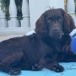 Meet your Posher, Jane